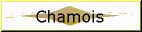 chamois
