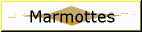 marmottes et chamois
