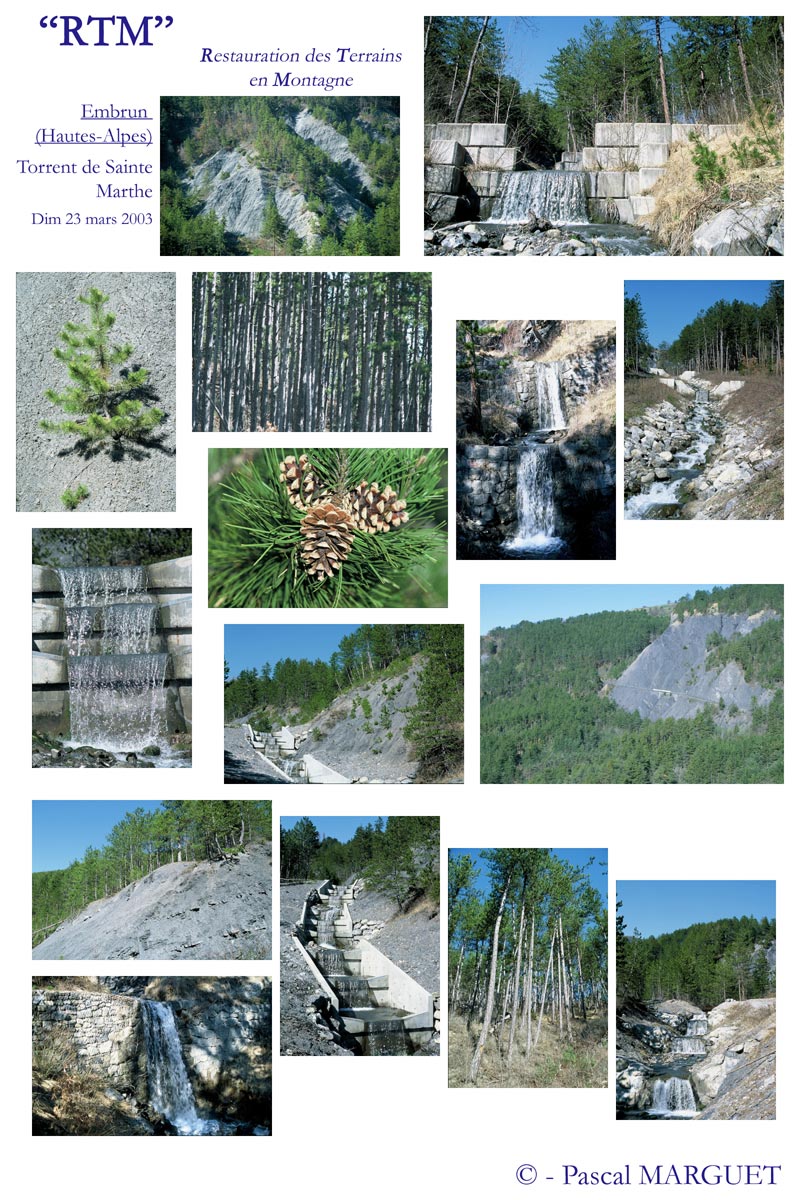 restauration des terrains en montagne